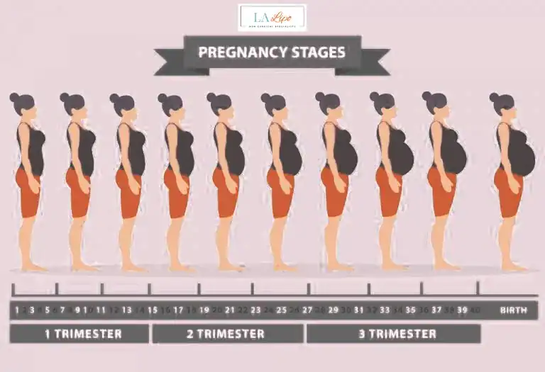 First Trimester (Weeks 1–12): Early Changes You Might Not Notice Royal Leamington Spa